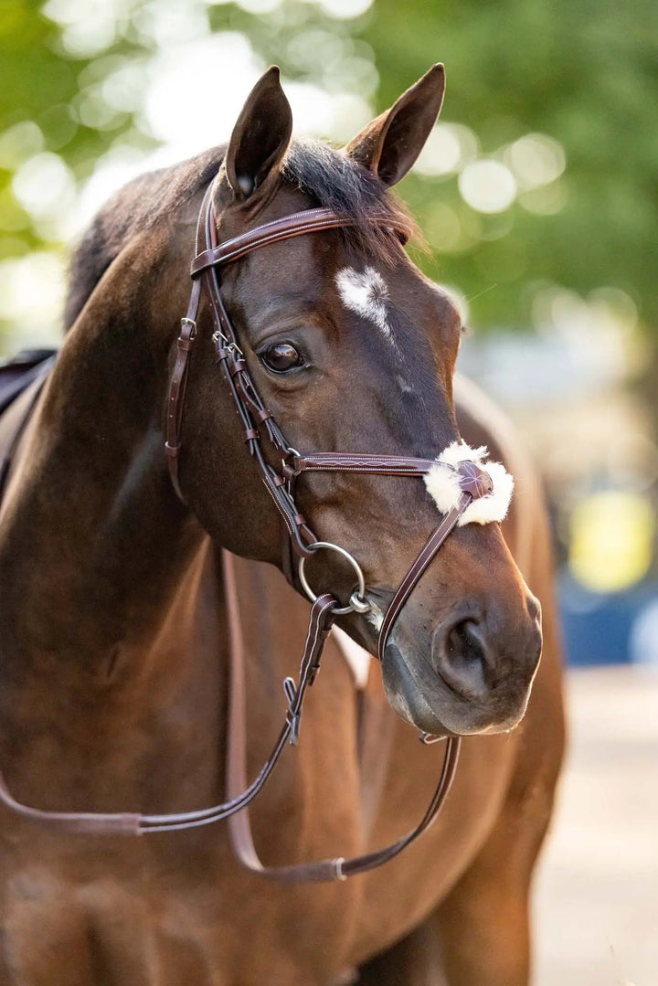 Equestrian Sedgwick Leather Padded Monocrown Figure 8 Bridle