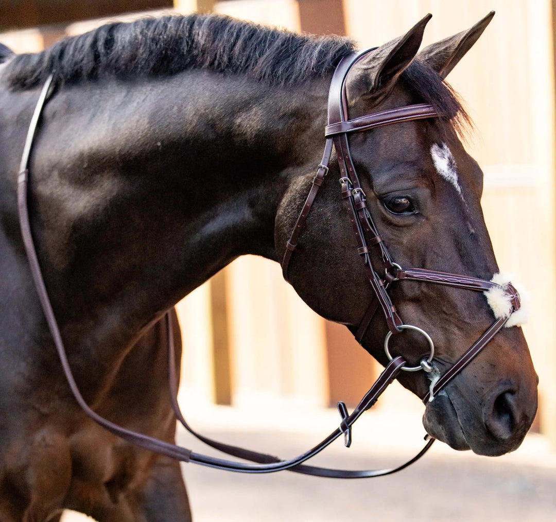 Equestrian Sedgwick Leather Padded Monocrown Figure 8 Bridle