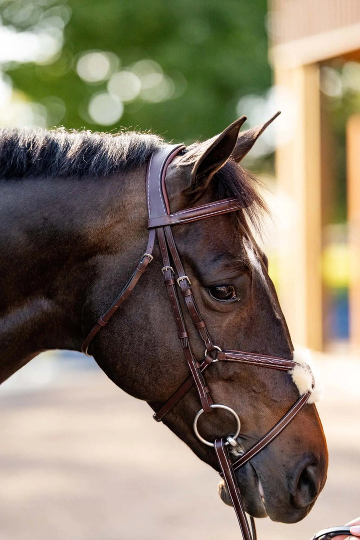 Equestrian Sedgwick Leather Padded Monocrown Figure 8 Bridle