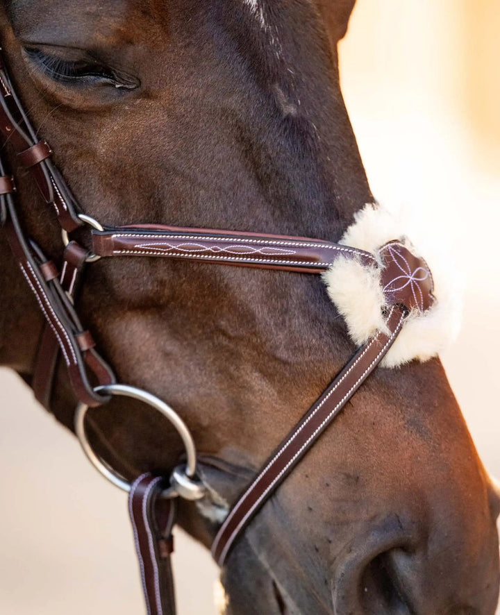 Equestrian Sedgwick Leather Padded Monocrown Figure 8 Bridle