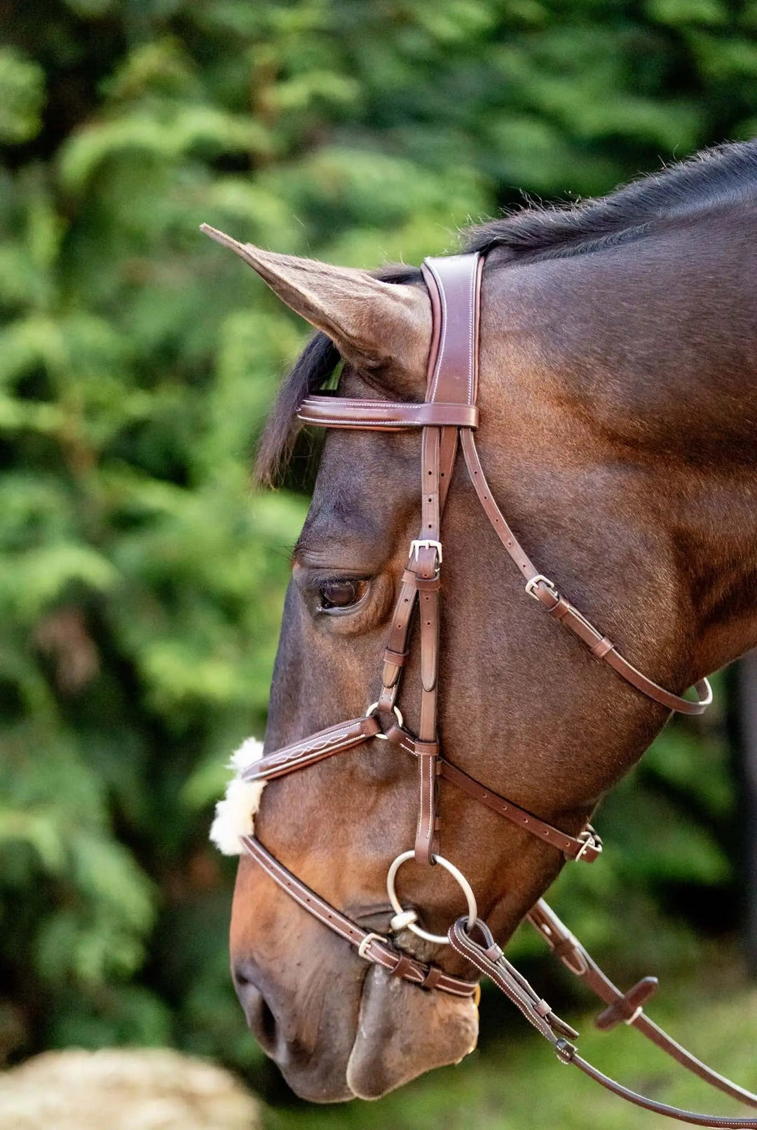 Equestrian Sedgwick Leather Padded Monocrown Figure 8 Bridle