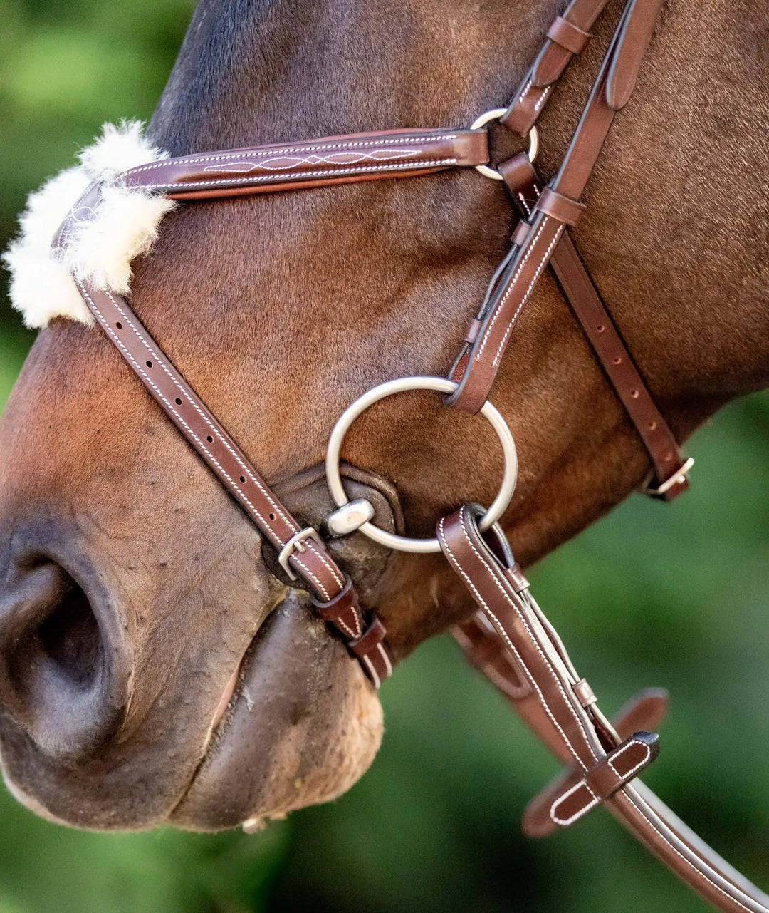 Equestrian Sedgwick Leather Padded Monocrown Figure 8 Bridle