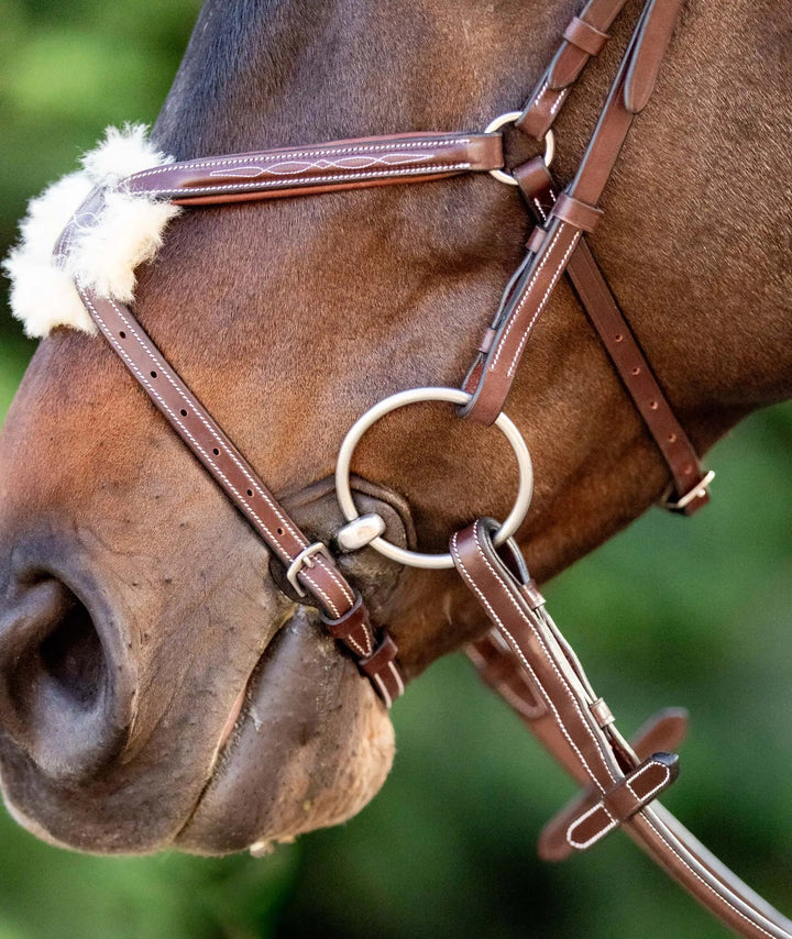 Equestrian Sedgwick Leather Padded Monocrown Figure 8 Bridle