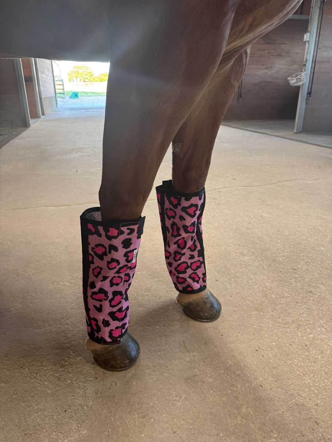 Catty Cowgirl Pink Cheetah Horse Fly Boots (4-Pack)