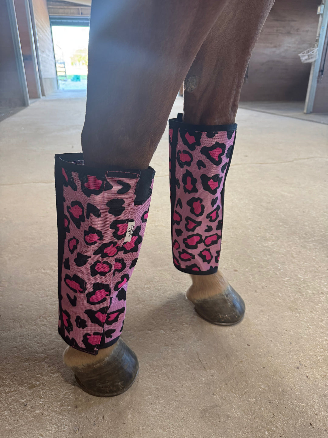 Catty Cowgirl Pink Cheetah Horse Fly Boots (4-Pack)