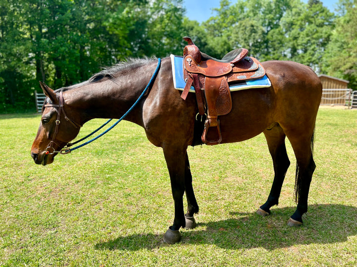 Azurine Western Saddle Pad