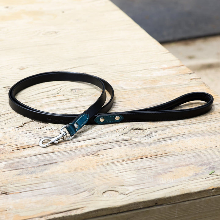 Halter Ego® Metallic Handcrafted Teal Dog Leash