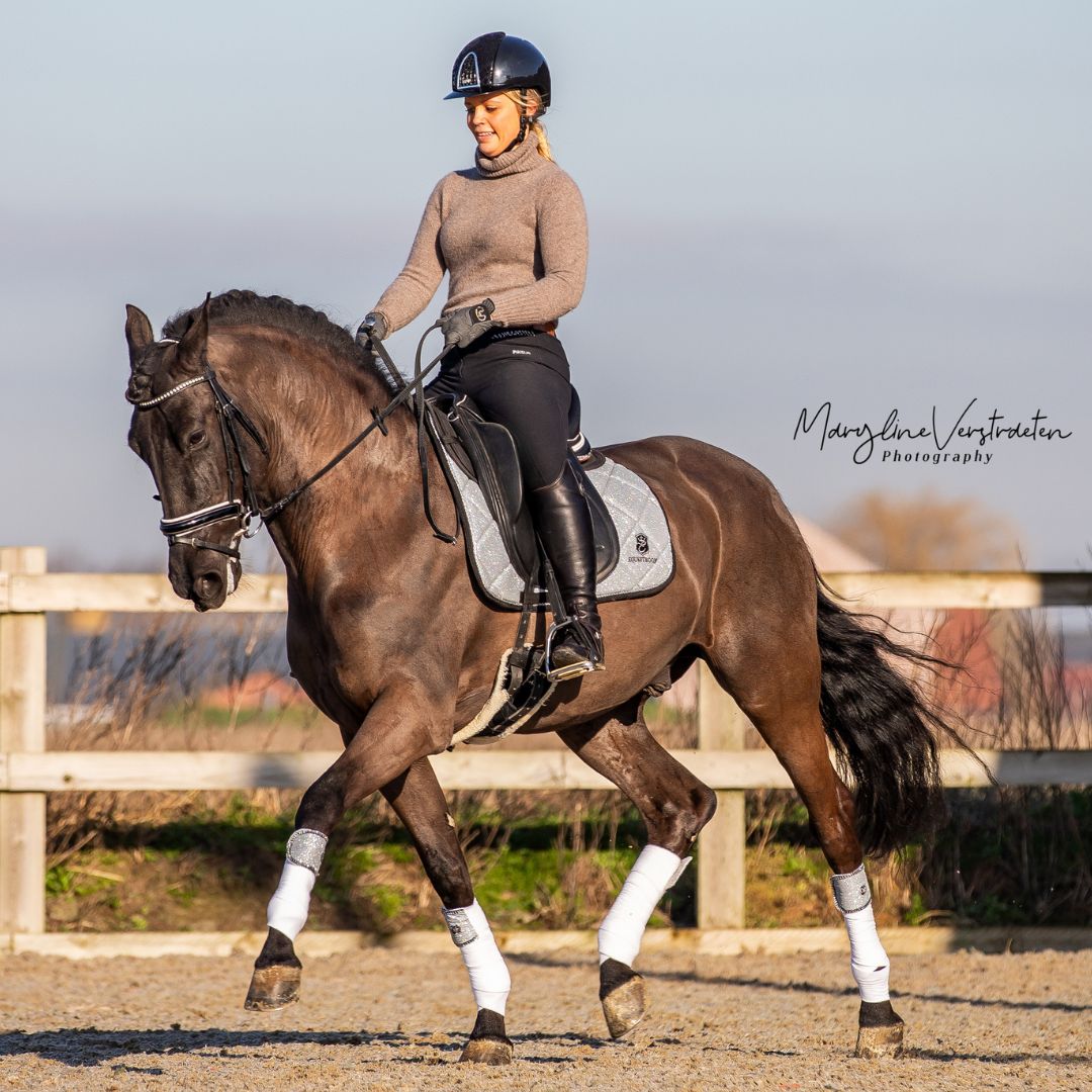 Royal Silver Saddle Pad