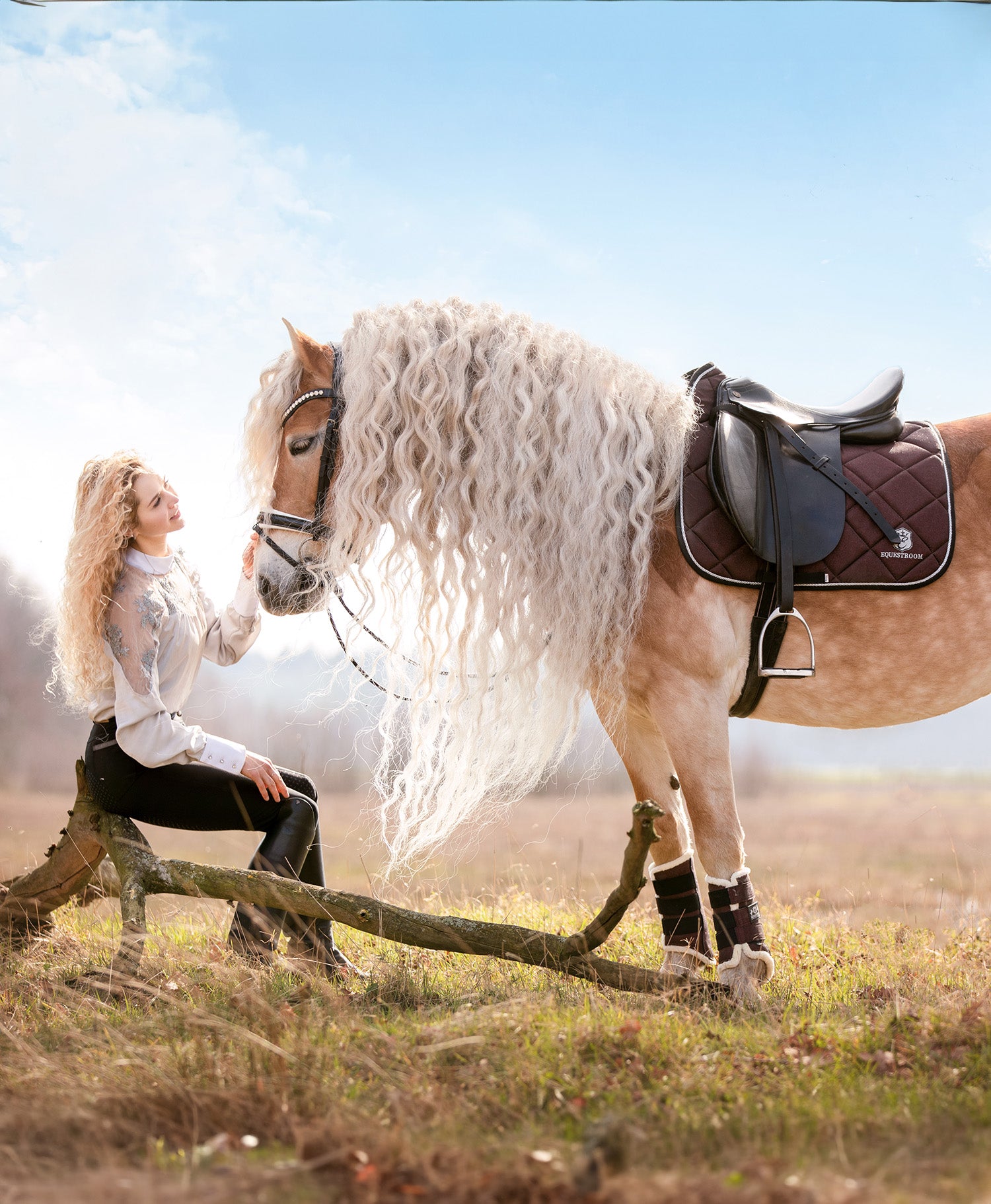 Online shop for Horse Tack, Riding Apparel, Equestrian Equipment