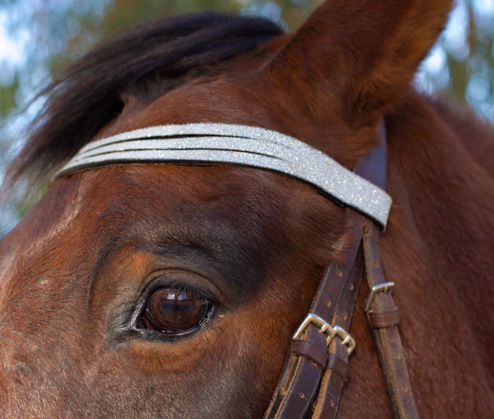 Royal Silver Browband