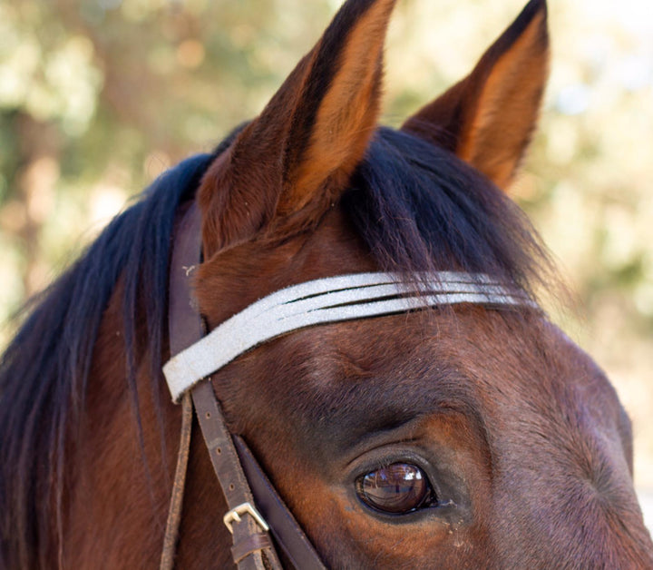 Royal Silver Saddle Pad Set