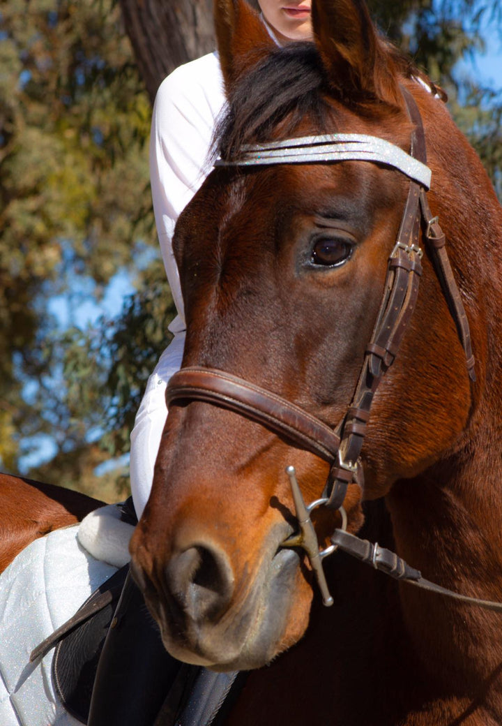 Royal Silver Browband