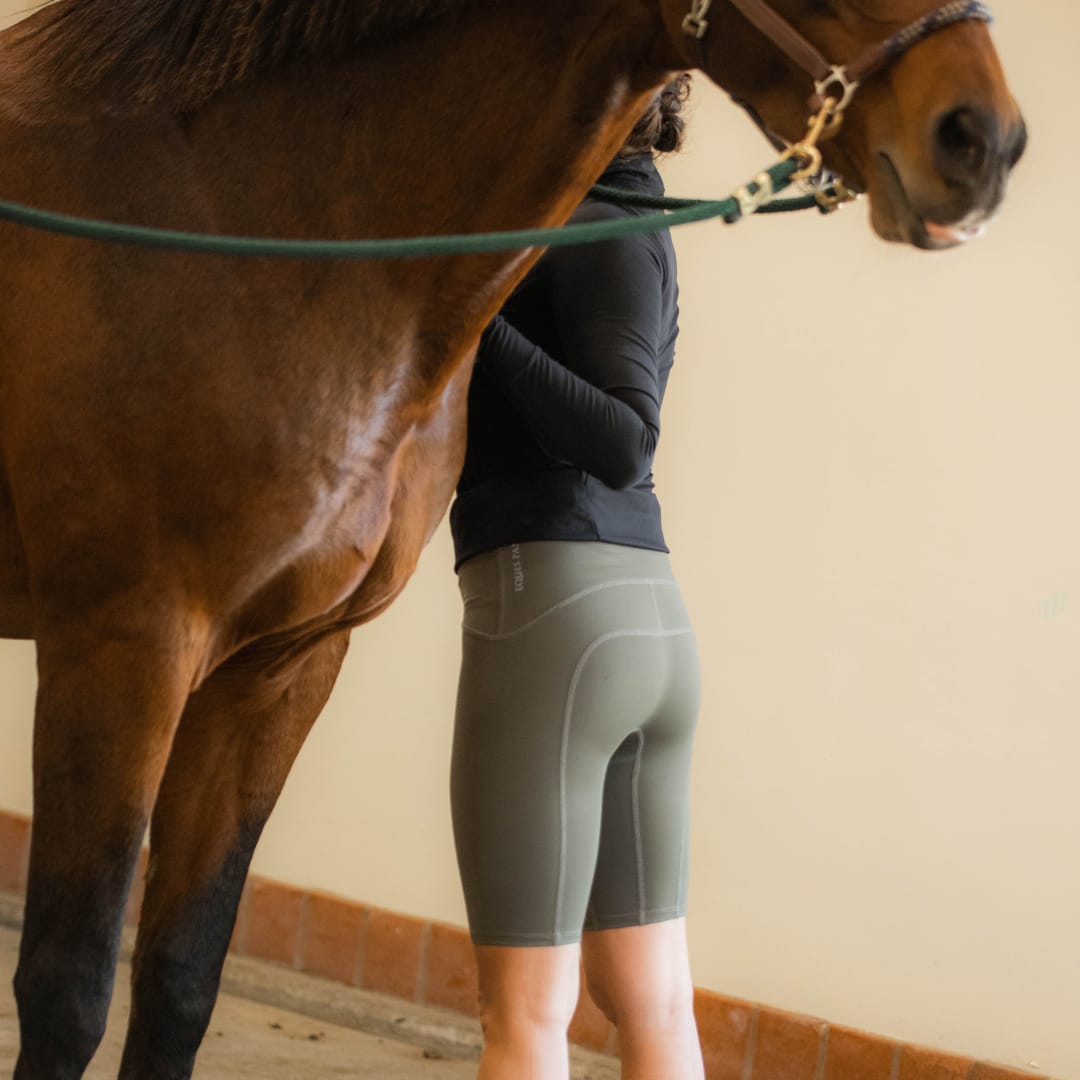 Equestrian Underwear - Knee Length: Seamless Comfort and Confidence