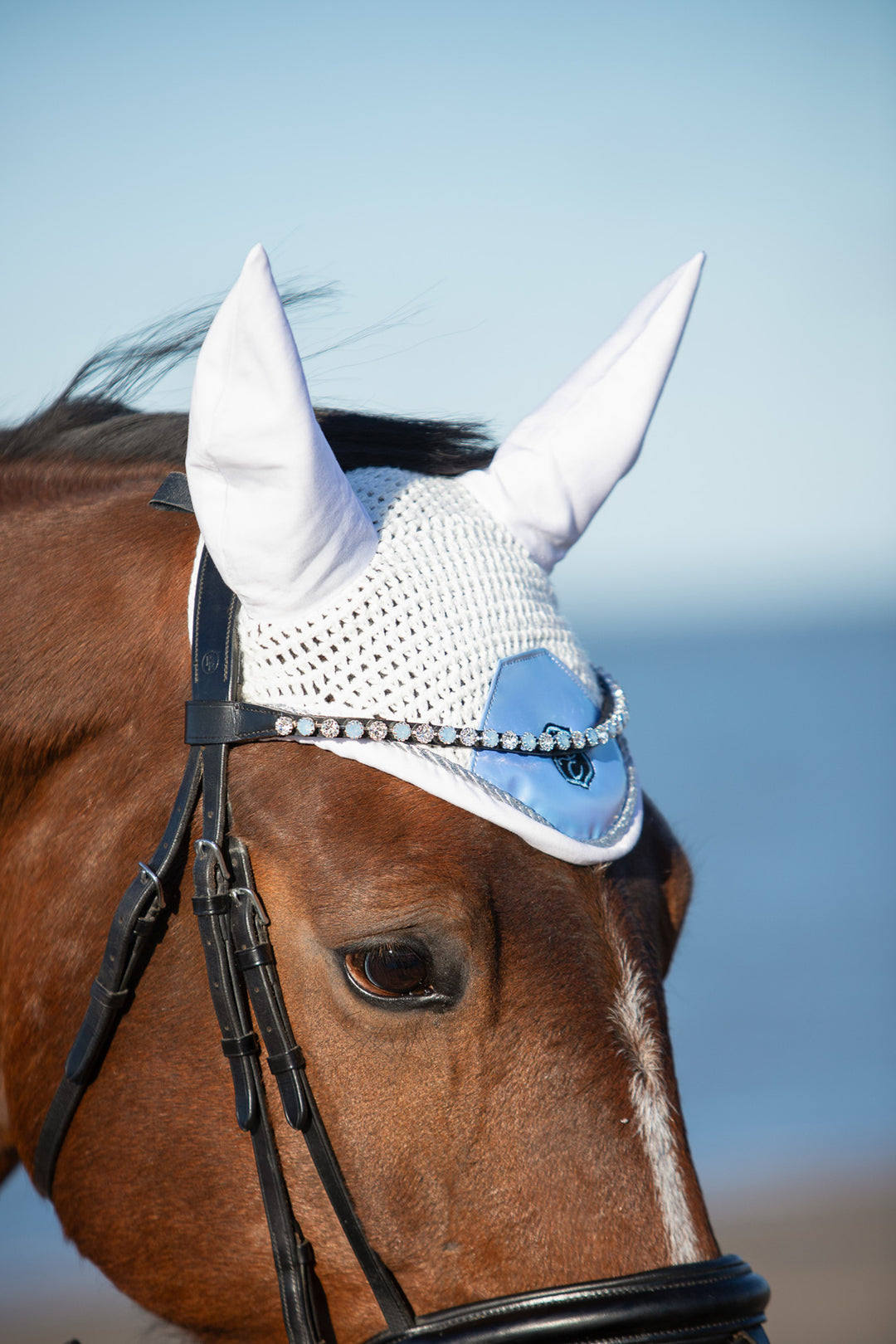 Azurine Saddle Pad Set