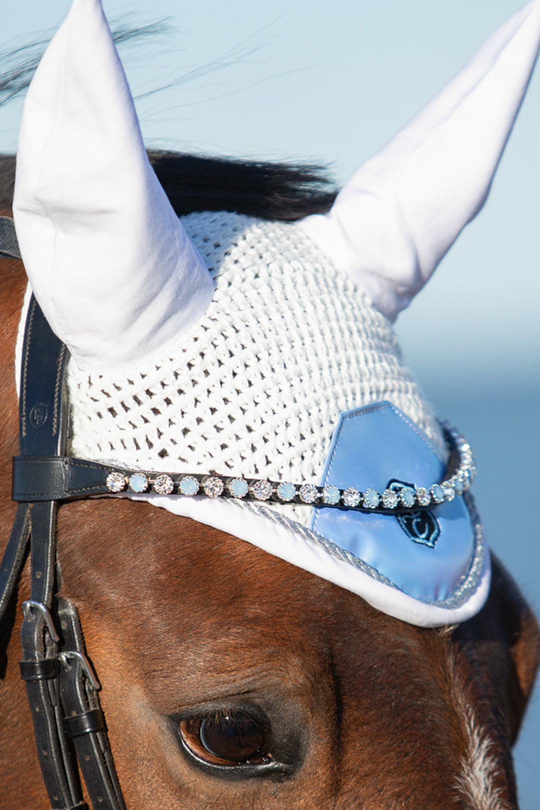 Azurine Browband