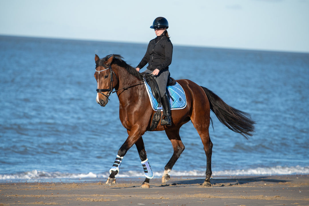 Azurine Saddle Pad