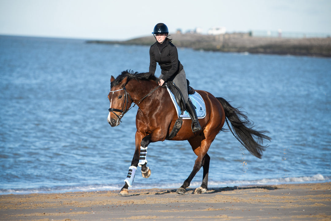 Azurine Saddle Pad Set