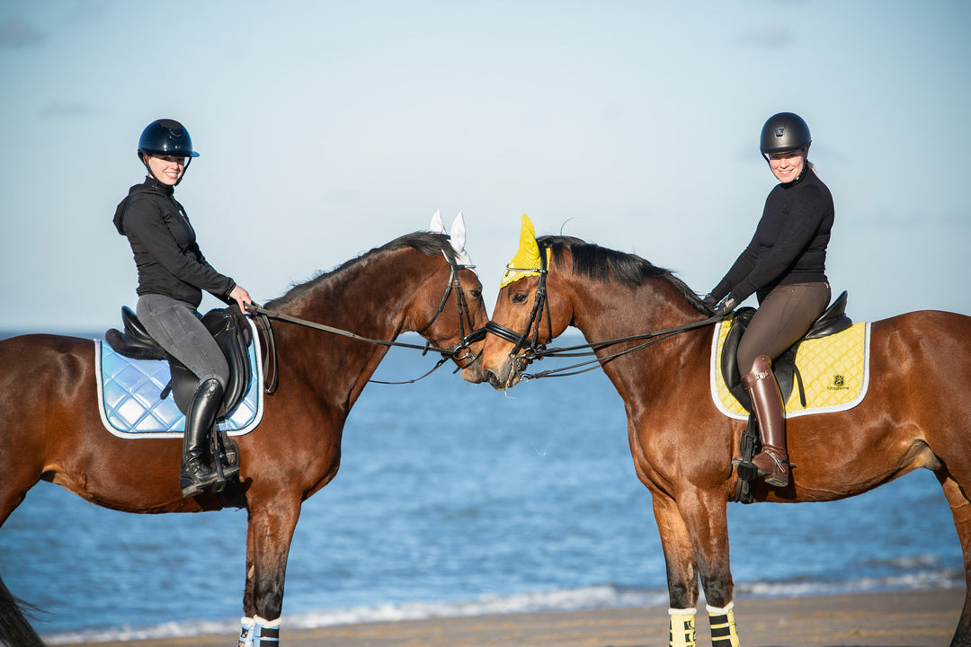 Azurine Saddle Pad