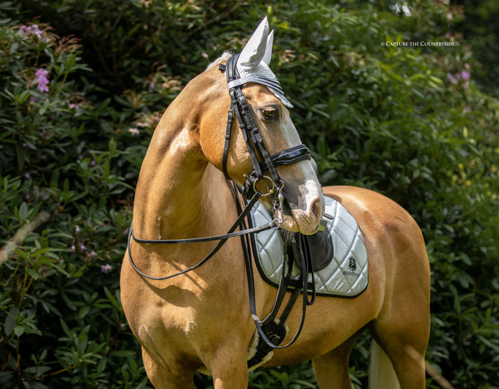 Royal Silver Saddle Pad Set