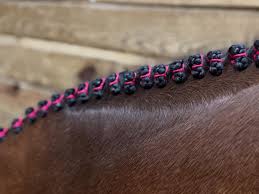 Horse Braiding and Plaiting Mousse 6 oz white bottle