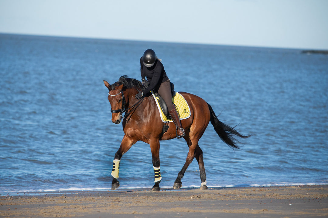 Mimosa Saddle Pad Set