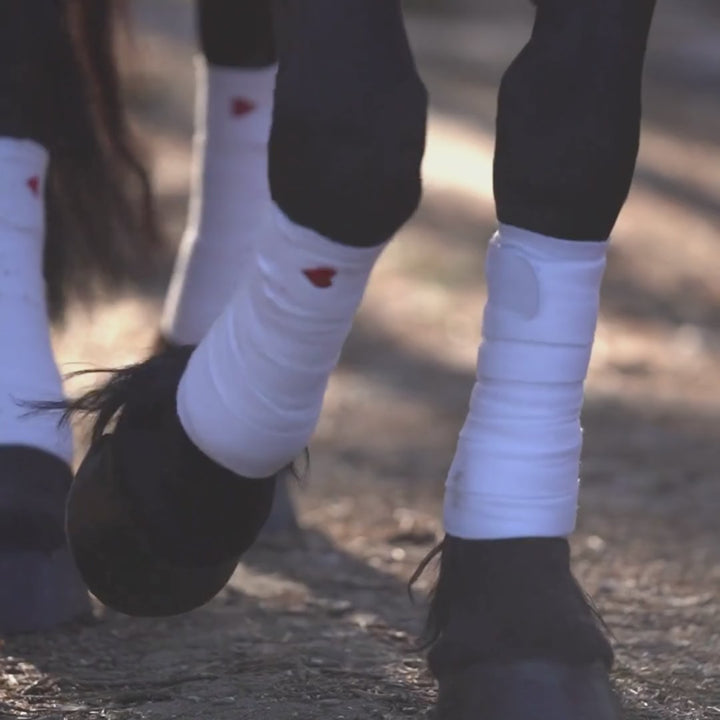 Queen Of Hearts Polo Wraps