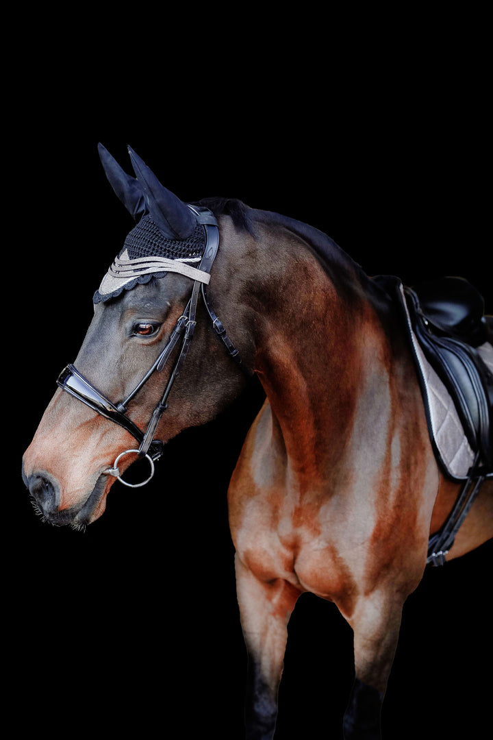 Nutmeg Browband