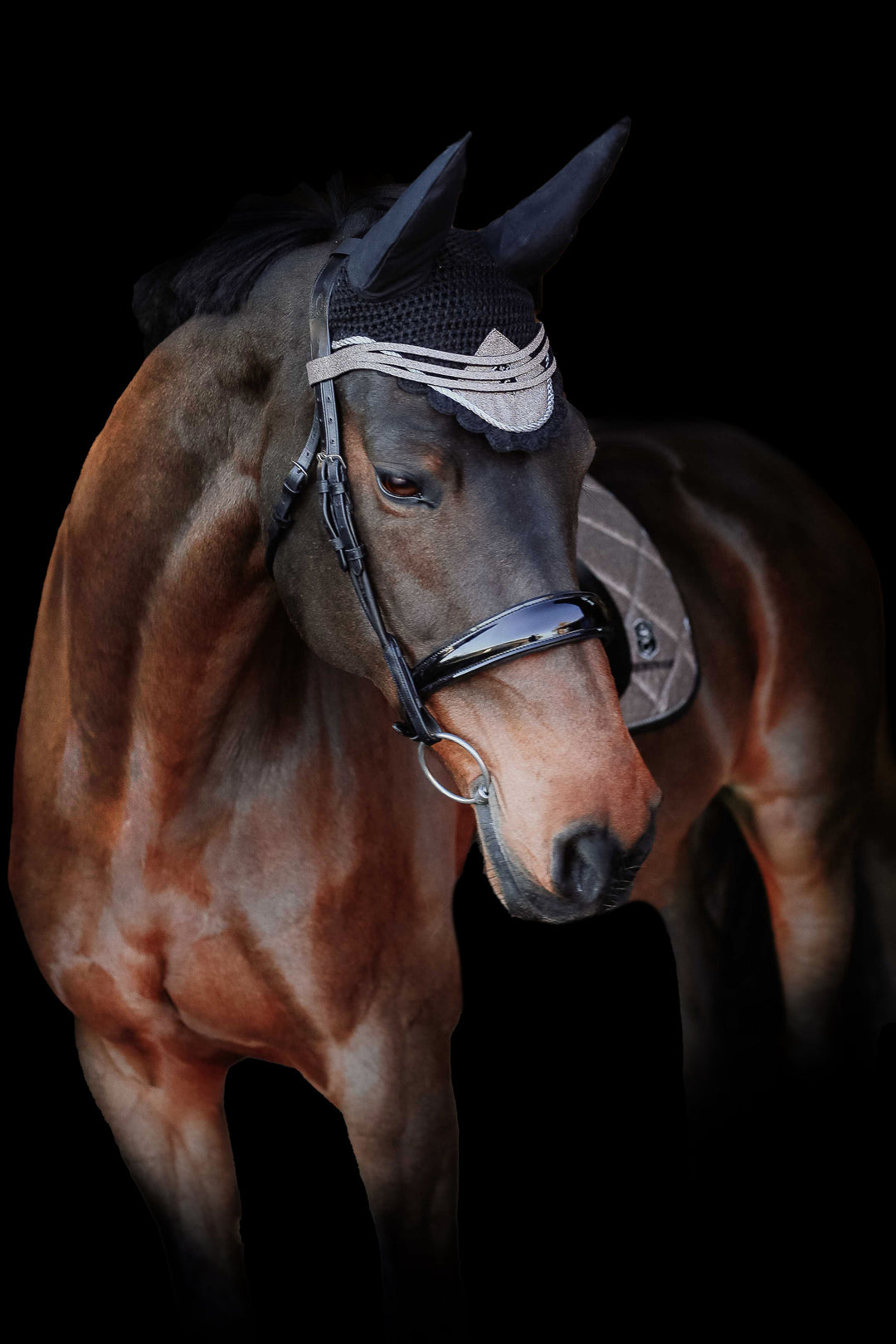 Nutmeg Browband