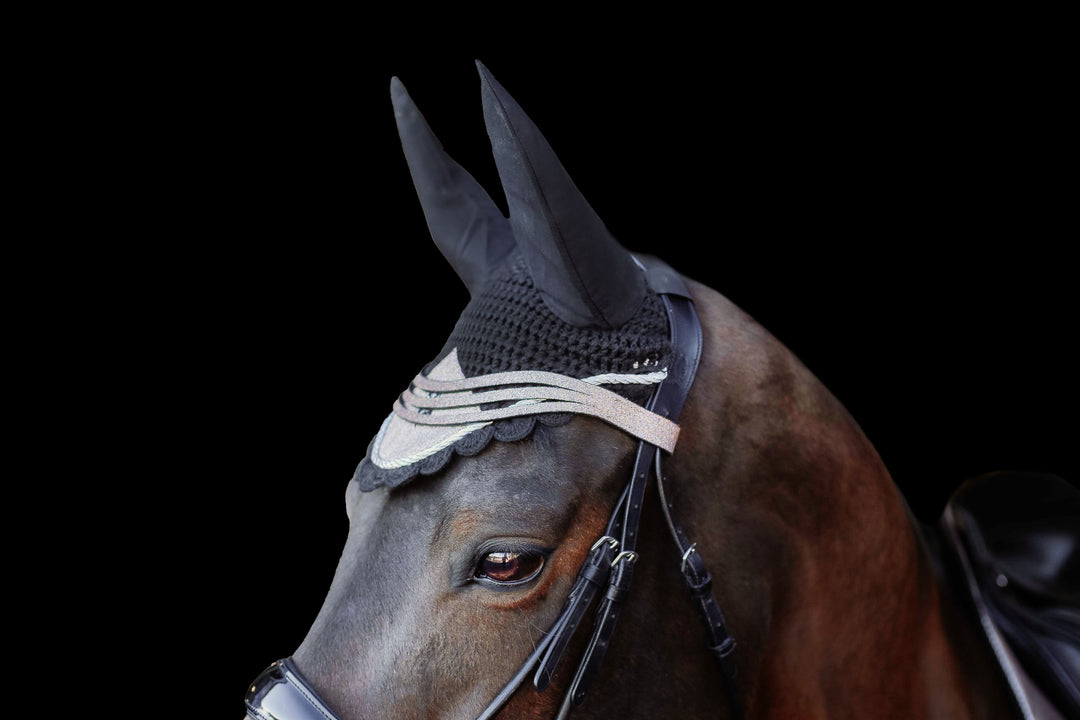 Nutmeg Browband