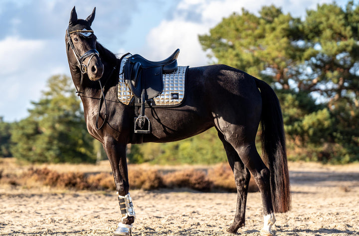 Aurum Brushing Boots