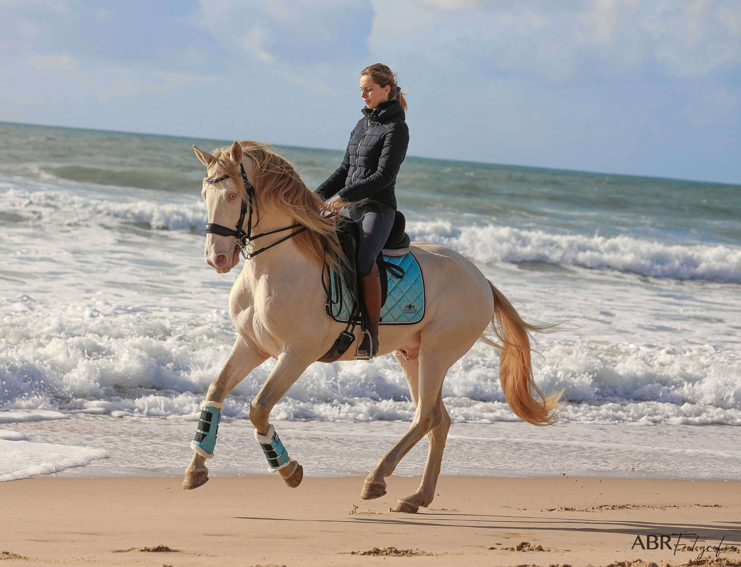 Baby Blue Saddle Pad