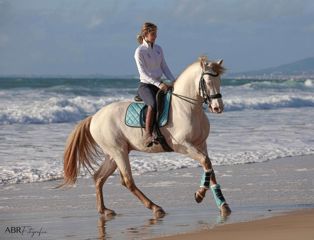 Baby Blue Saddle Pad Set