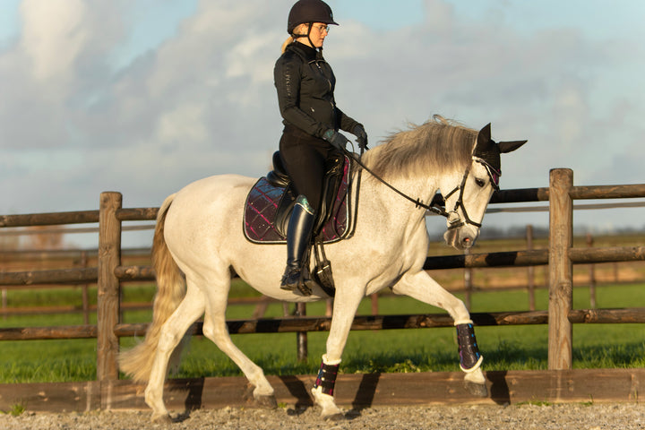 Ultraviolet Saddle Pad Set