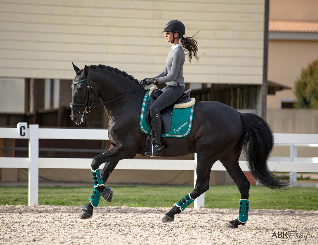 Teal Saddle Pad