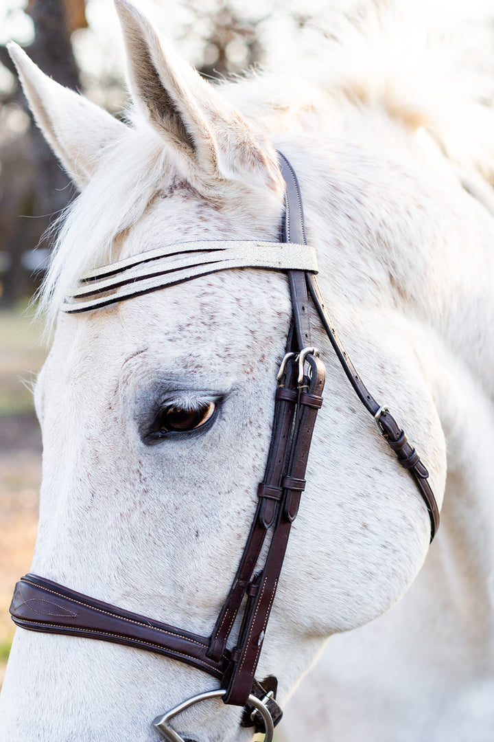 Champagne Browband