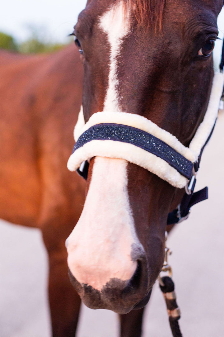 Deep Sapphire Halter