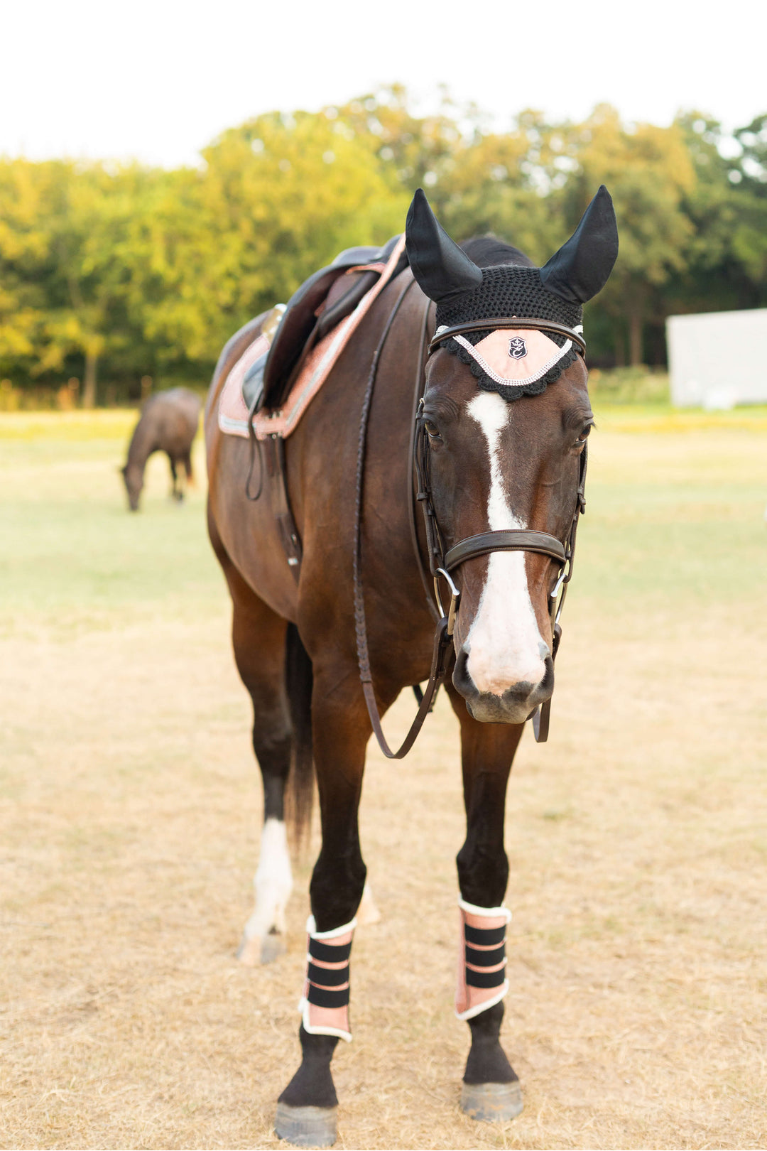 Powder Pink Suede Saddle Pad