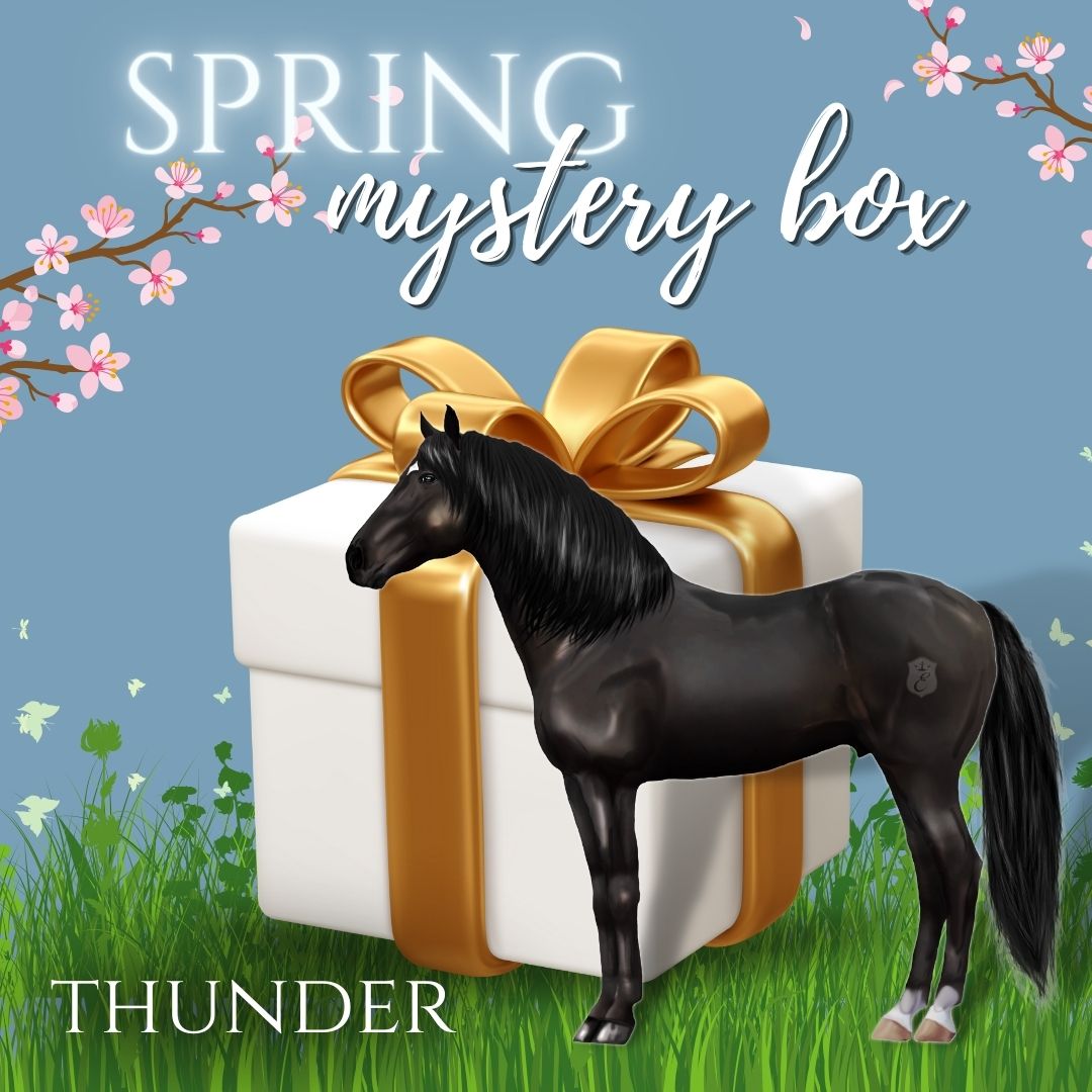 Spring Mystery Box - THUNDER
