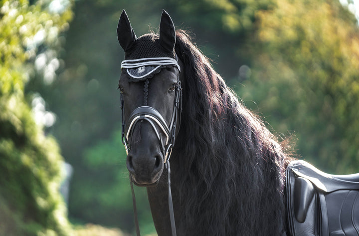 Black Ink Saddle Pad Set