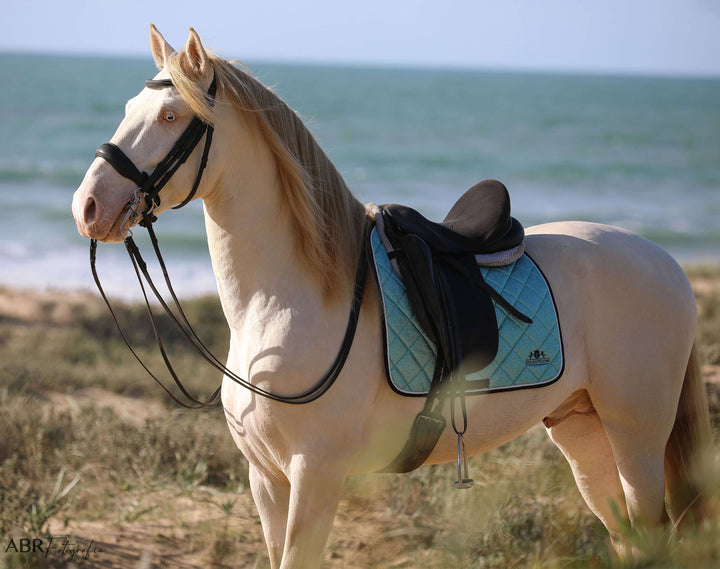 Baby Blue Saddle Pad