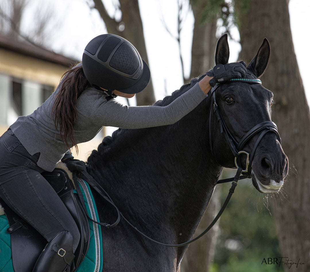 Teal Browband