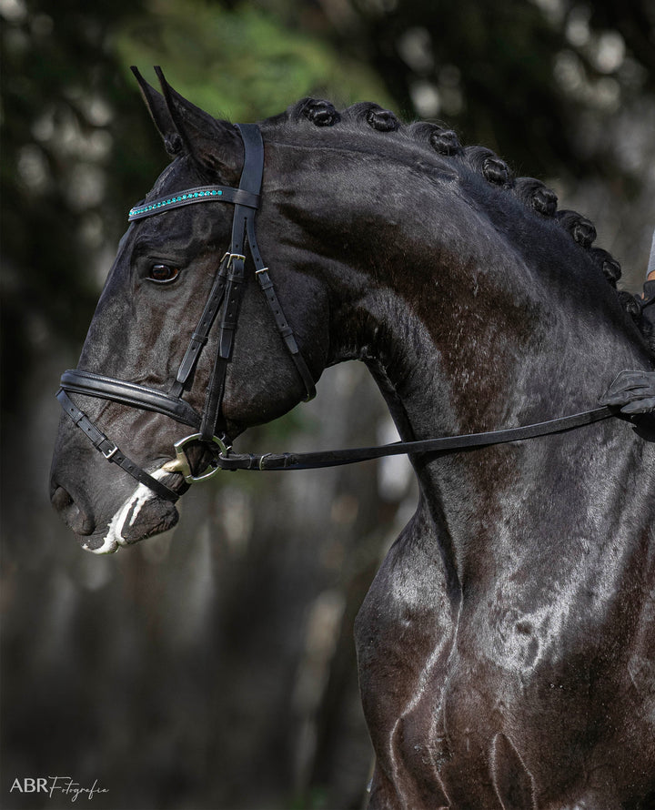 Teal Browband