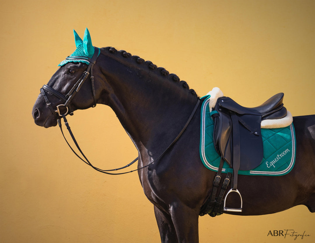 Teal Saddle Pad