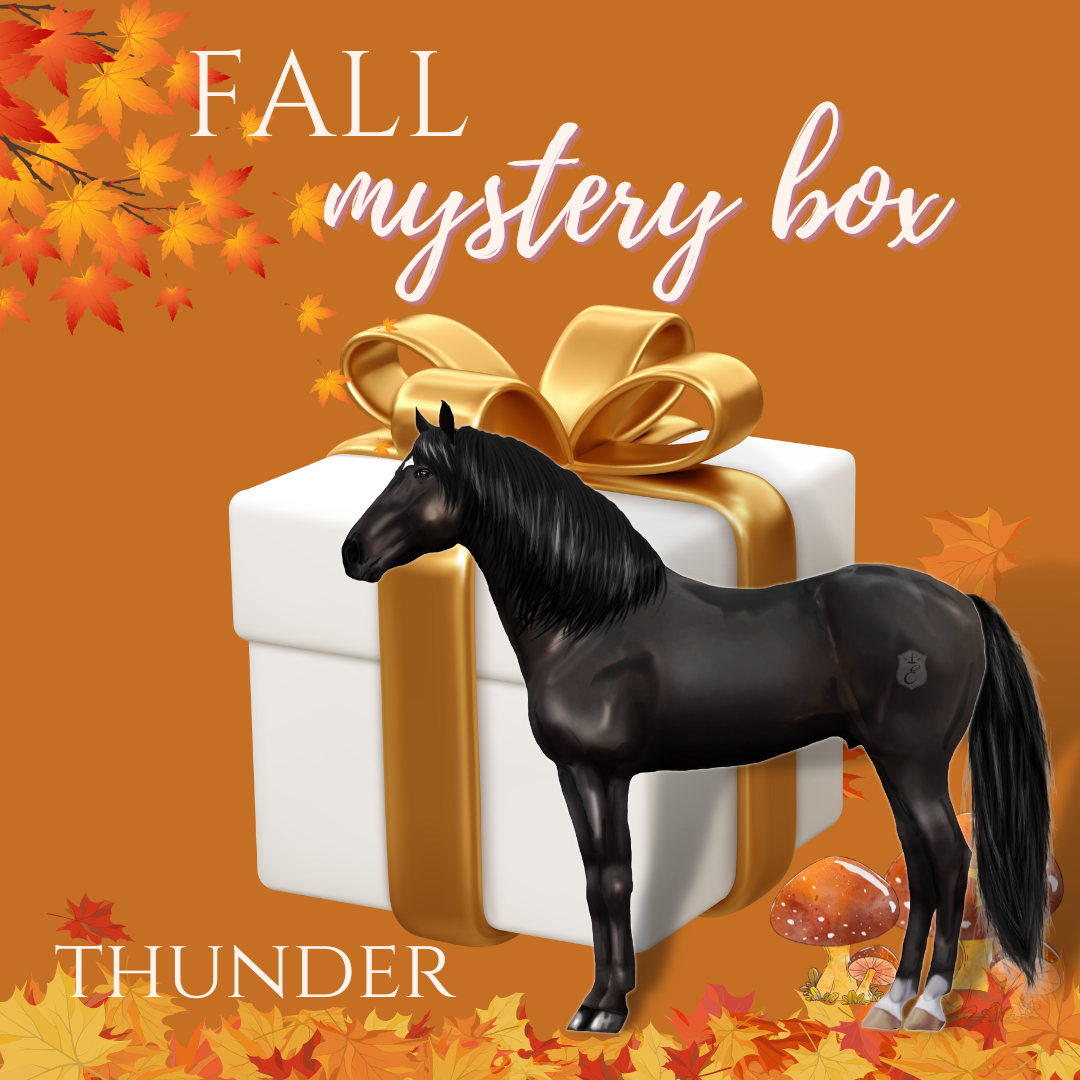 Fall Mystery Box "THUNDER"