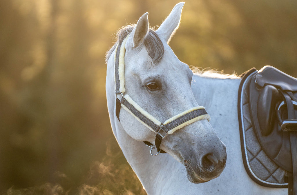 Stardust Grey Halter