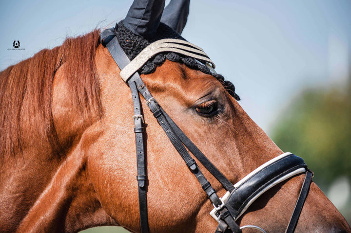 Champagne Browband