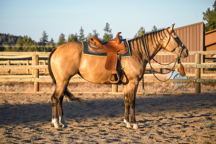 Jade Green Western Saddle Pad