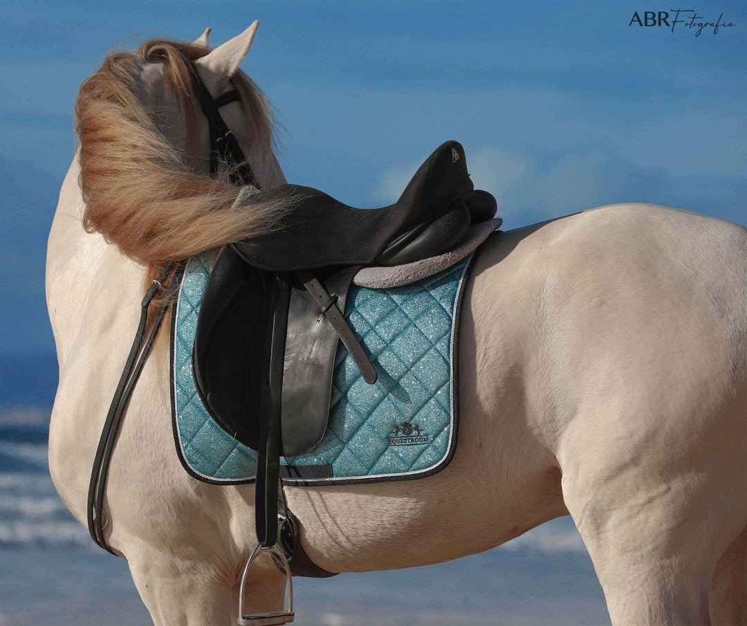 Baby Blue Saddle Pad Set