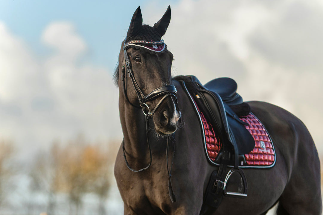 Electric Red Saddle Pad