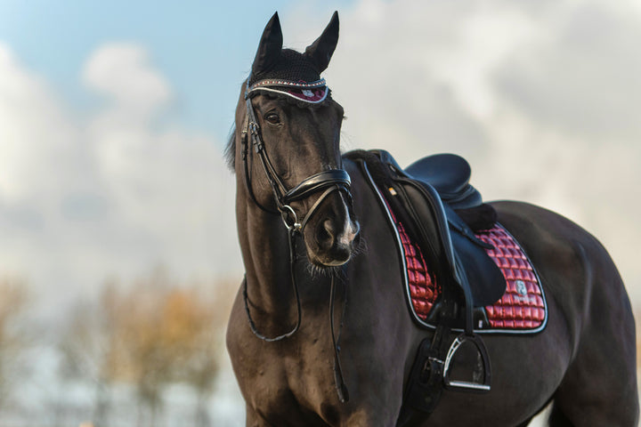 Electric Red Browband